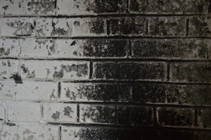 What to Expect During the Fire Damage Restoration Process