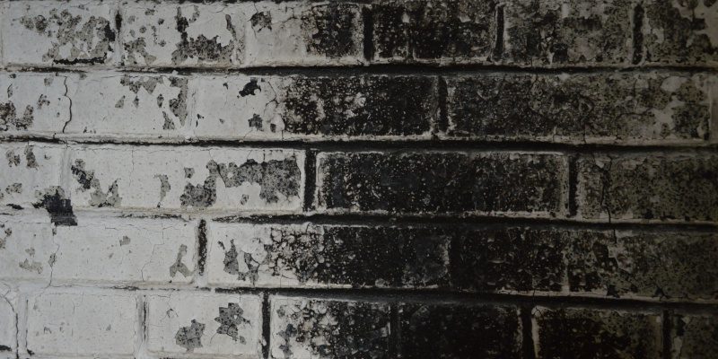 What to Expect During the Fire Damage Restoration Process